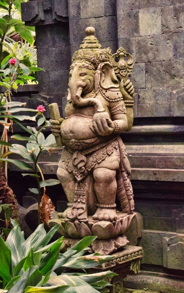 Mr Elefant - (c) M Mueller.jpg